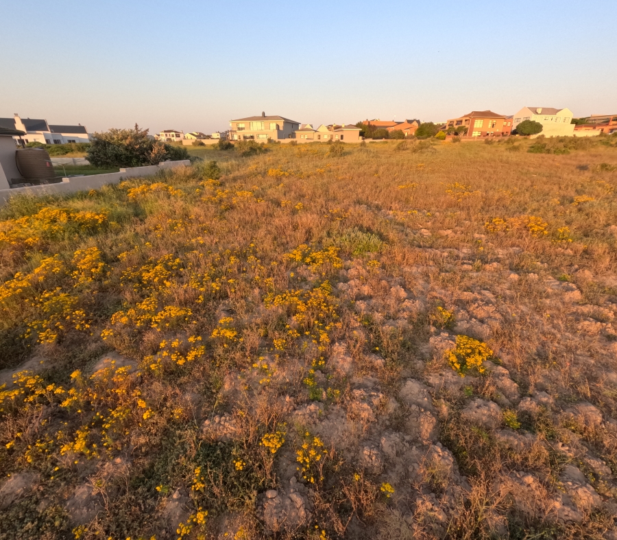 0 Bedroom Property for Sale in Myburgh Park Western Cape
